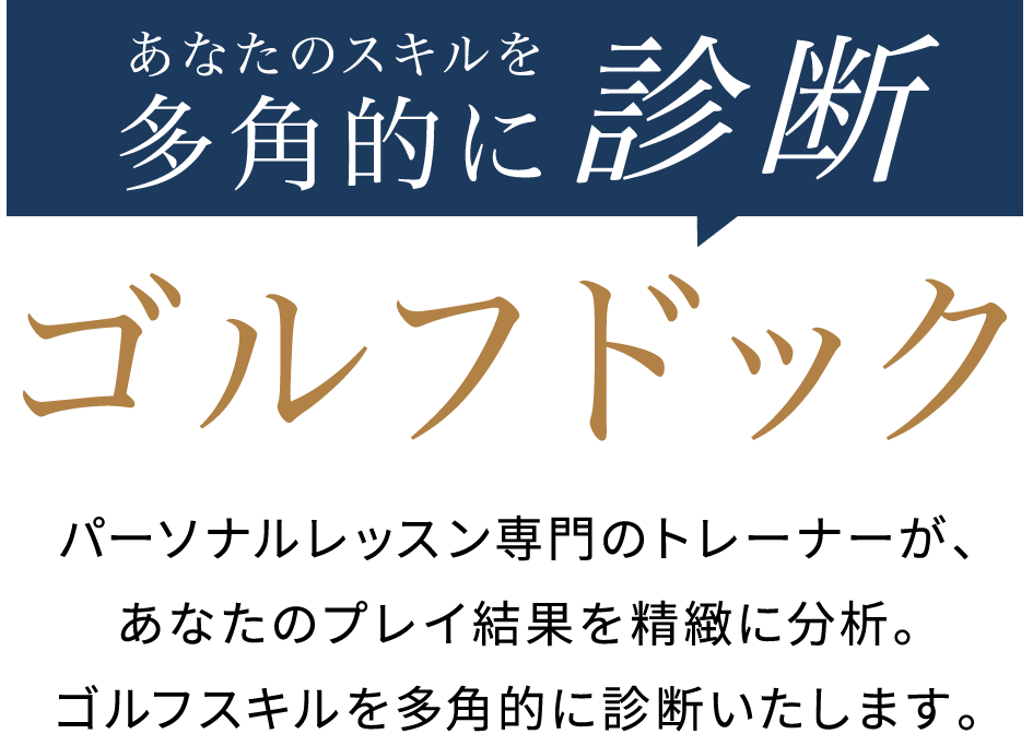 あなたのスキルを多角的に診断『ゴルフドック』